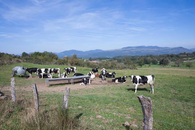 Penzion Ekolanda Esnoz Exteriér fotografie