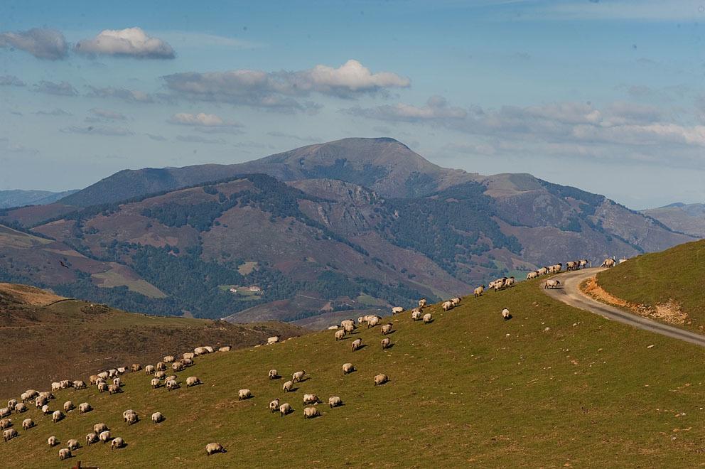 Penzion Ekolanda Esnoz Exteriér fotografie